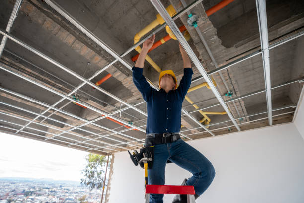 Best Commercial Plumbing Services  in Doniphan, MO